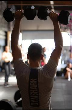 Alexis Gomes profile photo