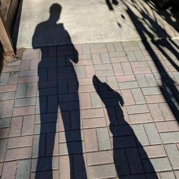 James Seymour profile photo