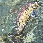 Gregory Madson profile photo