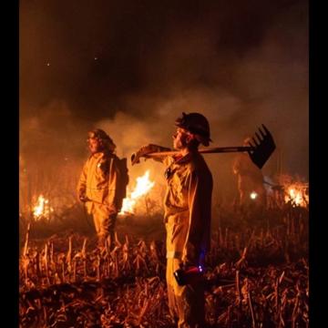 Simon Fish profile photo