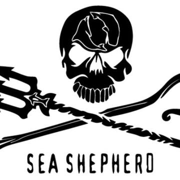 Tristan Midy profile photo