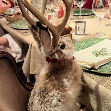 Drew Laxton profile photo