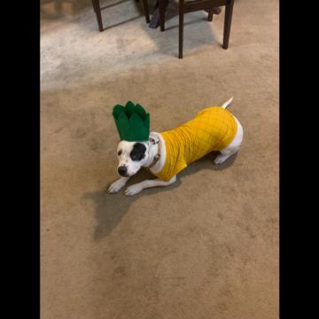 Jess Vannatter profile photo