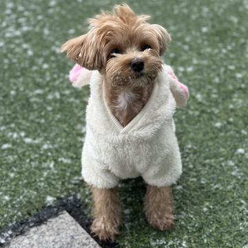 Hye gi Kim profile photo