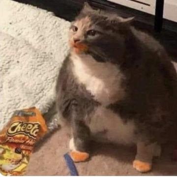 Jonathan Raymond profile photo