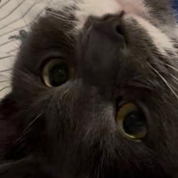 Tracey Collins profile photo