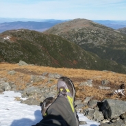 John Dwyer profile photo