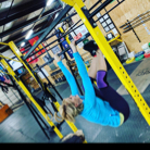 Lori Clune profile photo