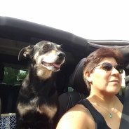 Cat Vasquez profile photo