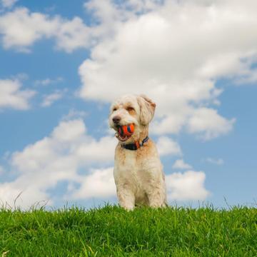 Paul Moraine profile photo