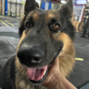 Joy Grace Poloyapoy profile photo