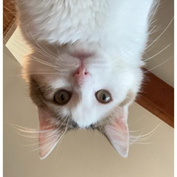 Christine Mick profile photo