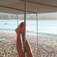 Lynn Ham Young profile photo