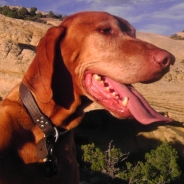 Dan New profile photo