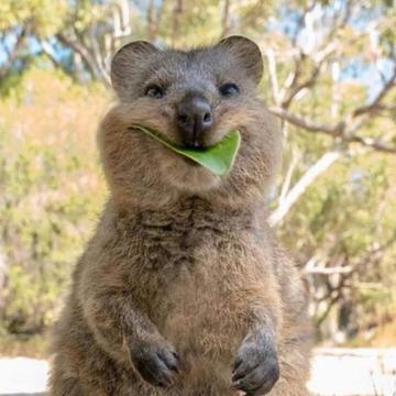 Josu Zatica profile photo