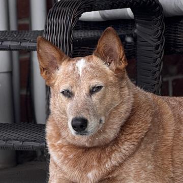 Keifer MacInnes profile photo