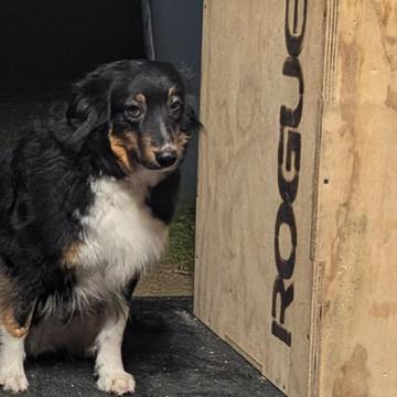 Nicolas Paoli profile photo