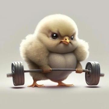 Vincent Vermont profile photo