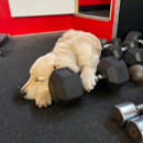 Guillaume Bouzige profile photo