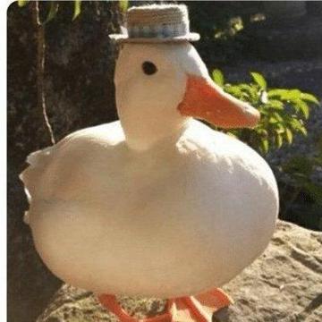 Ricardo Souto profile photo