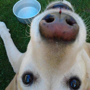 Amanda Rawson profile photo