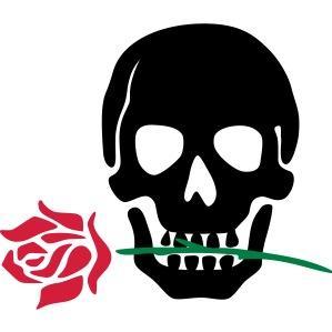 Alessandro Poma profile photo