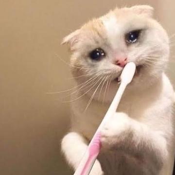 Rada Chalermchainukul profile photo