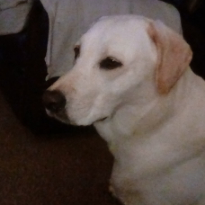 David Hall profile photo