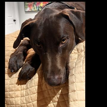 Victor Castillo profile photo