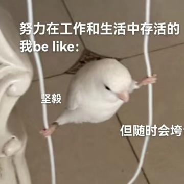 Siyuan Zeng profile photo