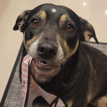 Juliana Mendonça profile photo