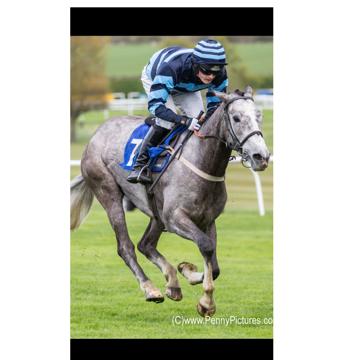 Steven Shiel profile photo