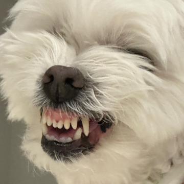 Mi Kyung Cho profile photo