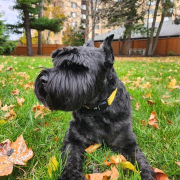 Thomas Waweru profile photo