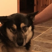 Crystal Trull profile photo