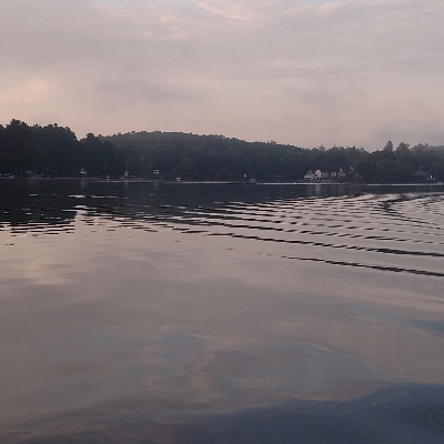 Pete Boria profile photo