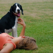 Alison Manikas profile photo