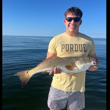 Josh White profile photo