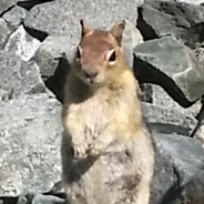 Mike Keown profile photo