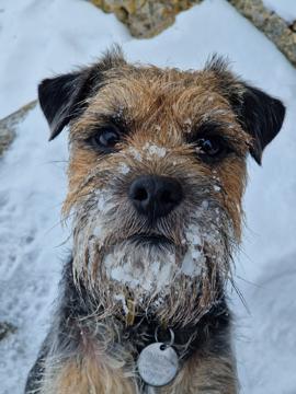 Cat Graham profile photo