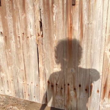 Maria Rosello Salvado profile photo