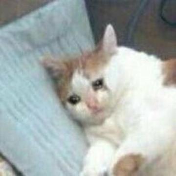 Juyoung Lee profile photo