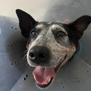 James Meza profile photo