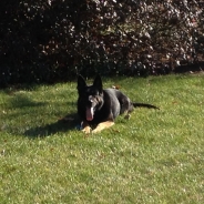 Jacob Tyler profile photo