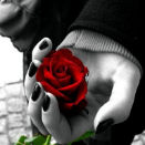 Flavie Malard profile photo