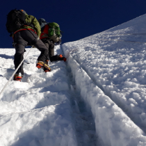 William Tafuto profile photo