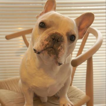 Ryoko Mita profile photo