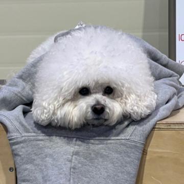 Oreum Choi profile photo