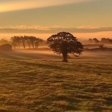 Tom McGillycuddy profile photo