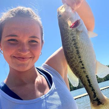 Lauryn Beeler profile photo